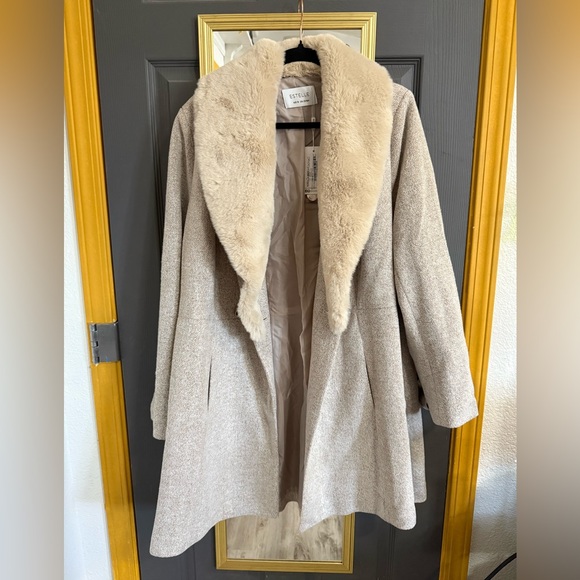 Elegant Beige Coat with Faux Fur Collar - Picture 2 of 5